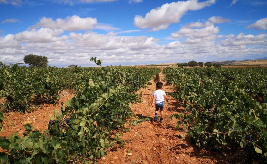 Una bodega de Ribera del Duero comprometida con la región